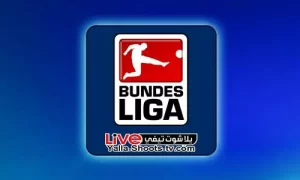 ترتيب هدافي الدوري الألماني 2024 يلا شوت تيفي