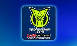 ترتيب هدافي الدوري البرازيلي 2024 يلا شوت تيفي