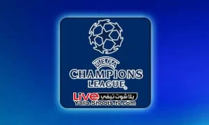 ترتيب هدافي دوري أبطال أوروبا 2024 يلا شوت تيفي