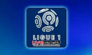 ترتيب هدافي الدوري الفرنسي 2024 يلا شوت تيفي